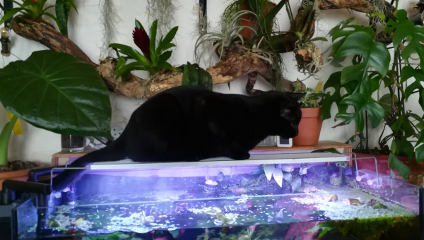 Le prochain changement d'eau, c'est lui qui le fait !