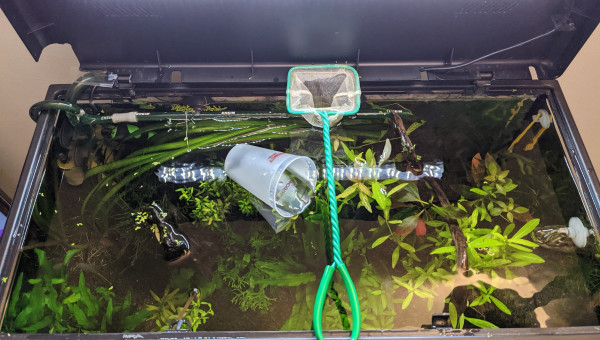 J'ai trié les lentilles!