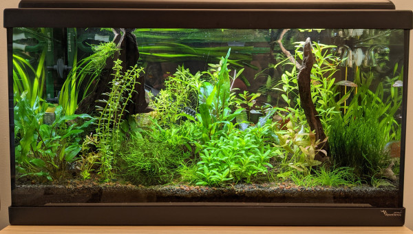 J'ai trié les lentilles!