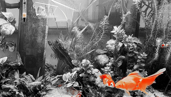 New setup (temporaire)