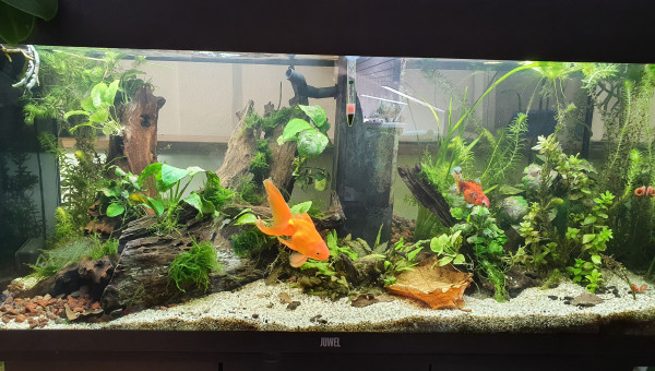 New setup (temporaire)