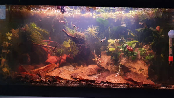 Entretien qui tourne au remaniement