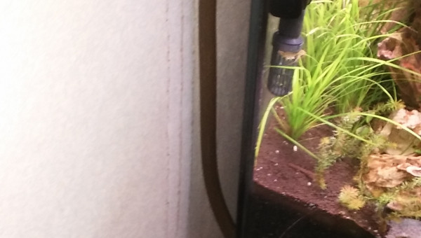 /!\  bien serrer vos raccord sur les cannes d'inspiration ou refoulement