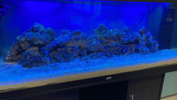 installation des tubes bleus