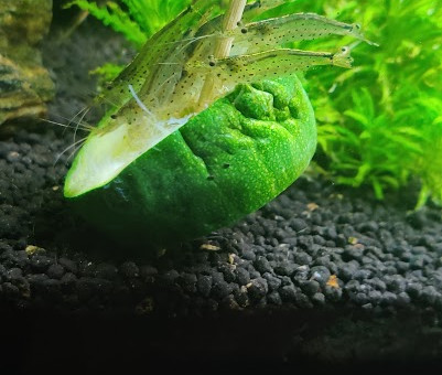 C'est l'heure du diner