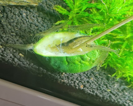 C'est l'heure du diner