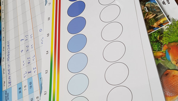 Je rêeeevaaaais.... D'un auuuuutreeeuh moooonde!