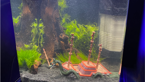 nano 10L l'epave