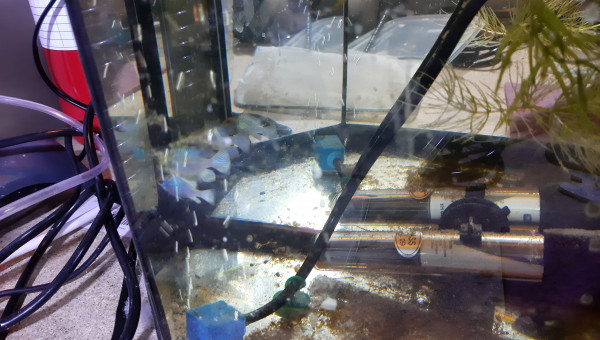 Bac hopital : 2ème ponte