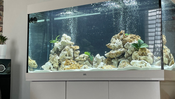 Lancement du cycle de l'azote