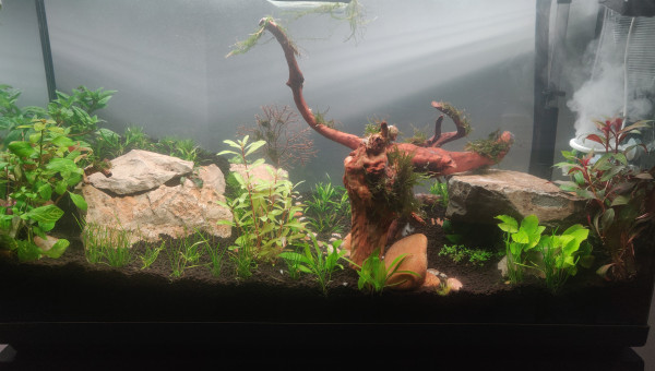 Aqua100L