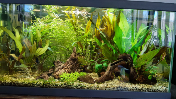 Nouvel aménagement en cours