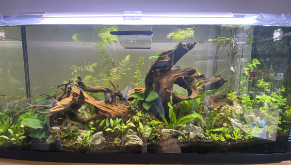 Cyclage un jour...cyclage toujours