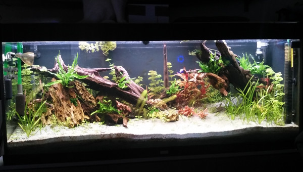 petite retouche du decor