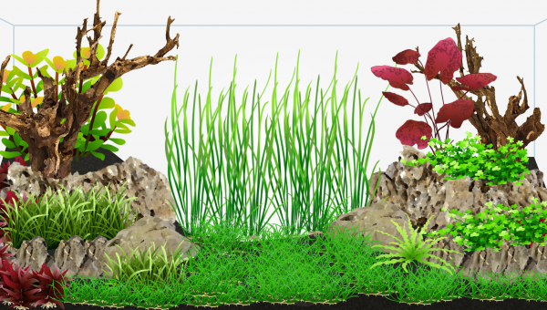 Projet de refonte décor