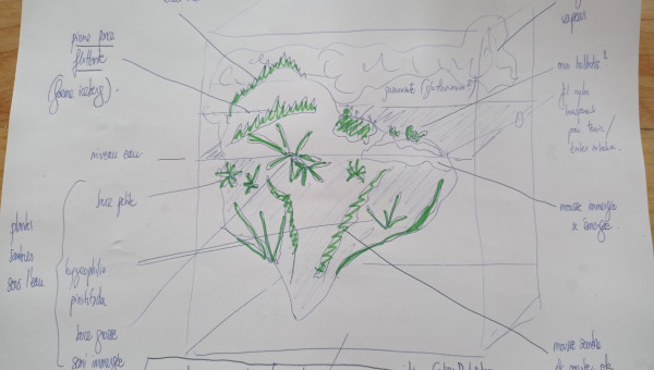 Concours scape (suite suite)