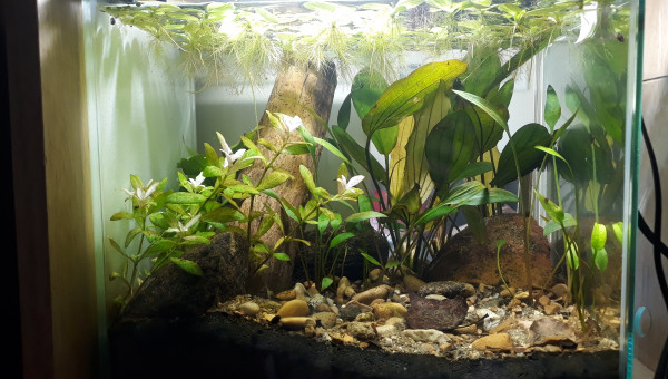 Changement d'ambiance