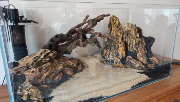 Ajout Ceps de vignes