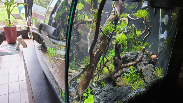 Myfirstone petit nettoyage