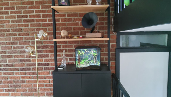 Myfirstone petit nettoyage