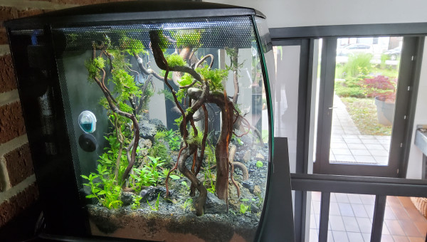 Myfirstone petit nettoyage