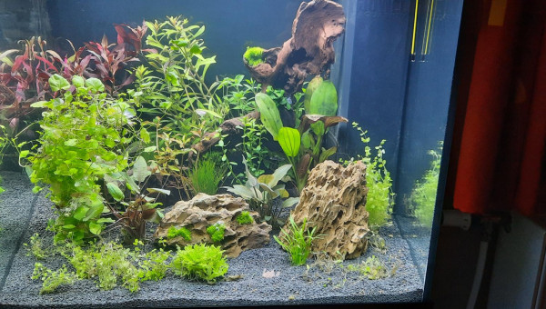 21/07/2021  2em jours