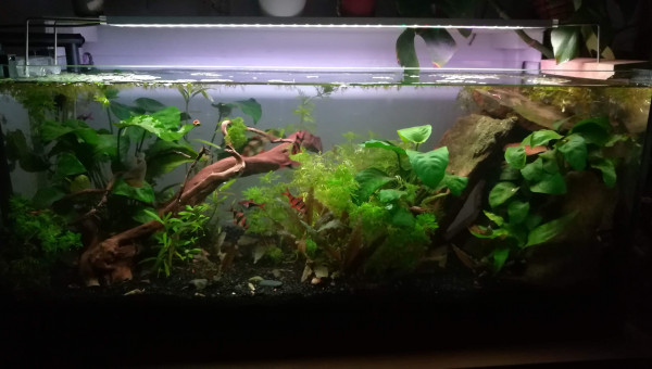 Retour de la lumière !