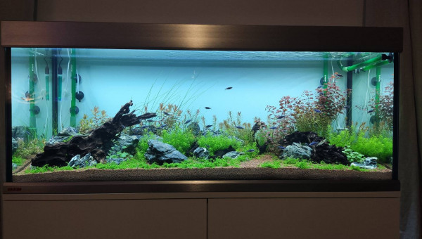 Trois mois après l'installation