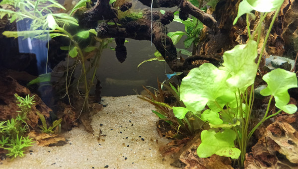 Les premiers arrivants :D