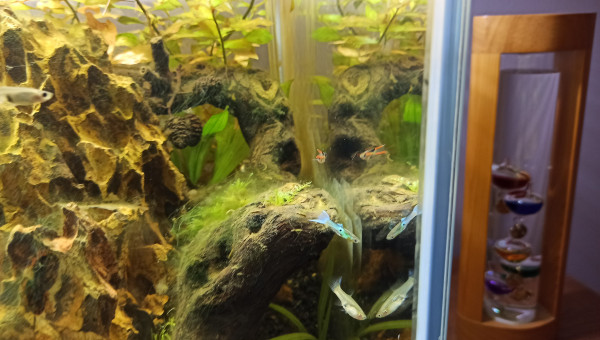 Les premiers arrivants :D