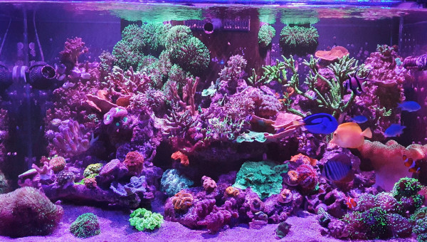 Photo de l'après-midi