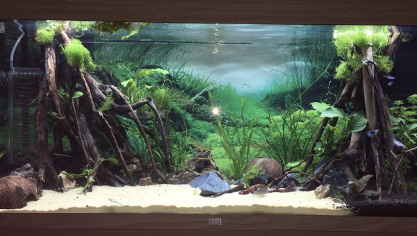 Pendant que ça pousse