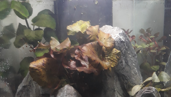 Nouveau décor : souvenir de vacances