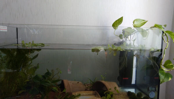 Ambiance sans éclairage ;(