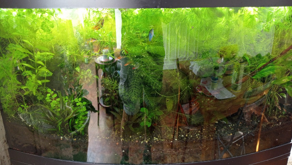 3 semaines d absence ;)