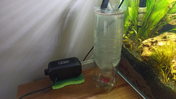 Eclosoir à Artémias !!