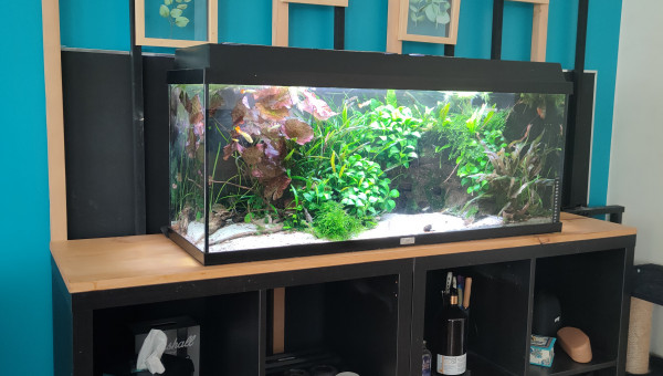 Le résultat de la Rentrée