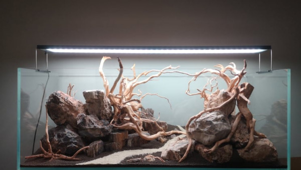 Hardscape avec chemin de sable