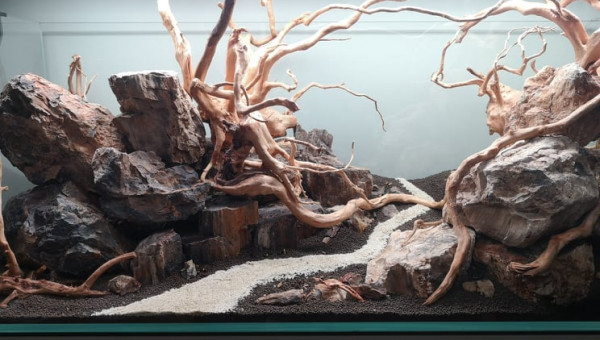 Hardscape avec détails