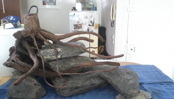 Essai de nouveau décor