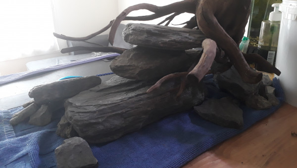 Essai de nouveau décor