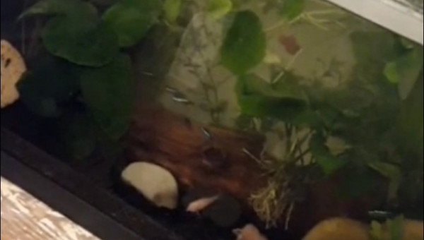 1ère mise en route de débutant