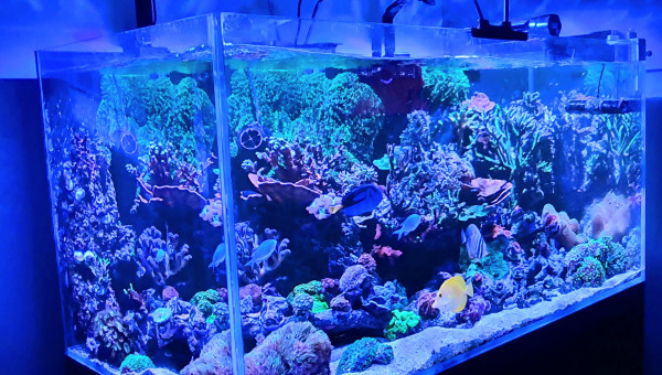 Nouveau rendu avec nouvelle rampe d'éclairage