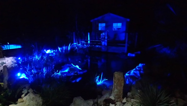 Lumières d'ambiance