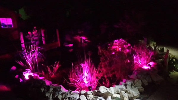 Lumières d'ambiance