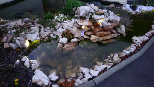 Vue du bassin en mars....