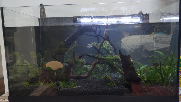 Nouvelle configuration