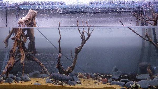 Mise en eeeeeaaaaauuuuu !!!