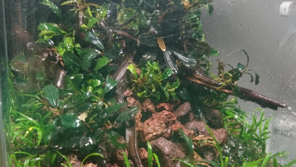 Welcome to the jungle