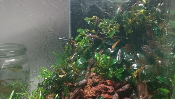 Welcome to the jungle